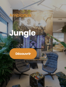 Ambiance Jungle