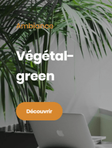 Ambiance Végétal Green