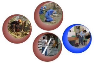 tremplin services